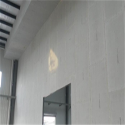 临沭宁波ALC板|EPS加气板隔墙与混凝土整浇联接的实验研讨